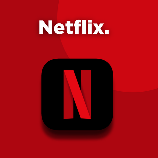 Netflix Subscription –Digital Dispatch